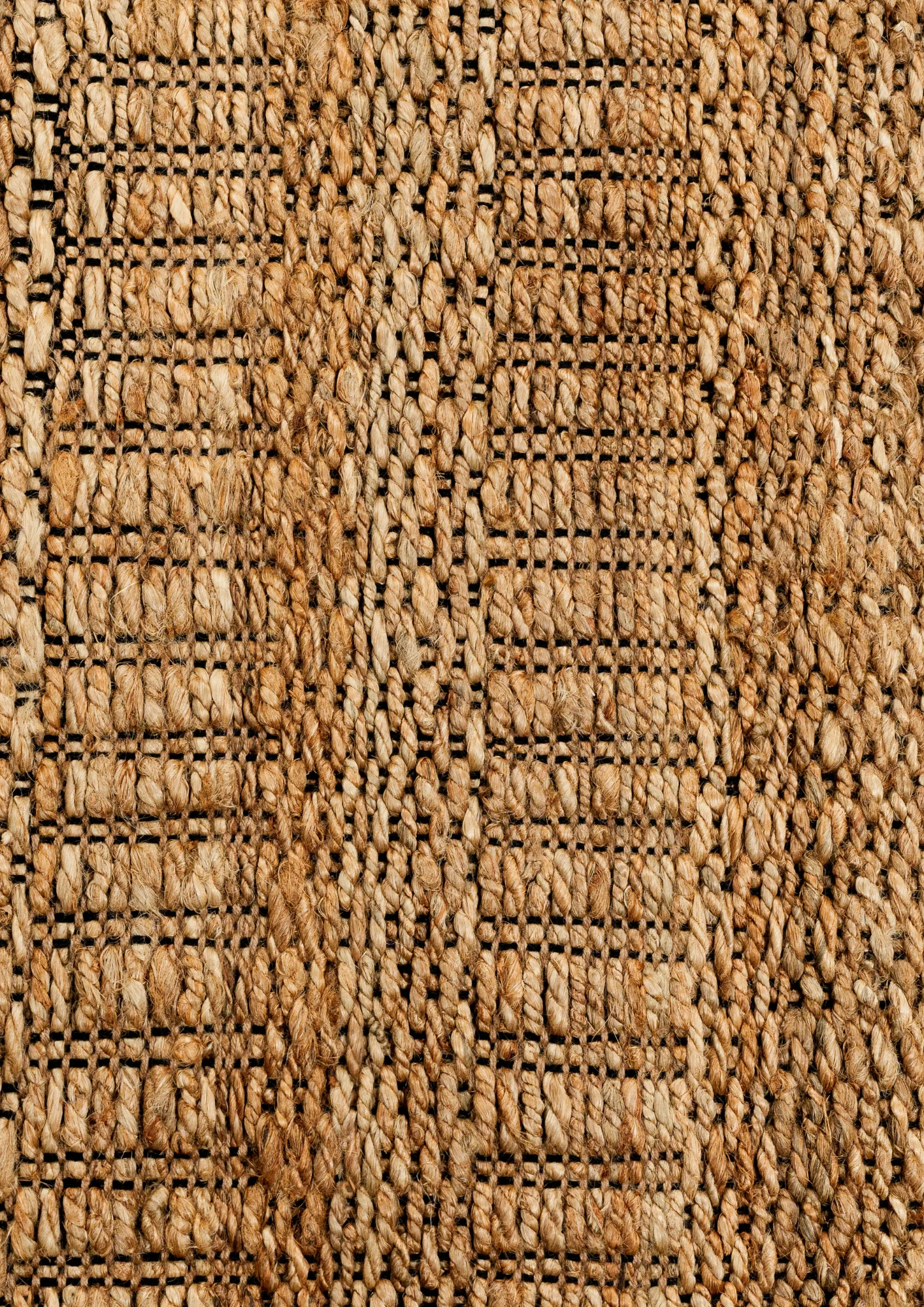 Hemp Hand Woven Rug  Noble Terrain - Jute - Hand Woven - Ajaypee Carpets (Thumbnail 2)